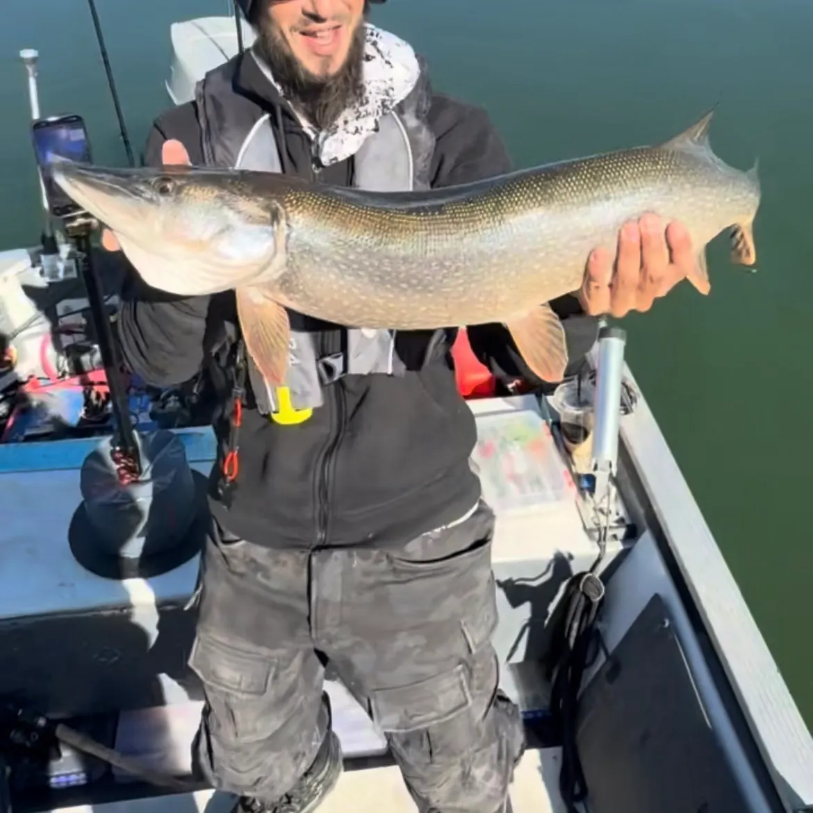 Northern pike caught on Fishbrain