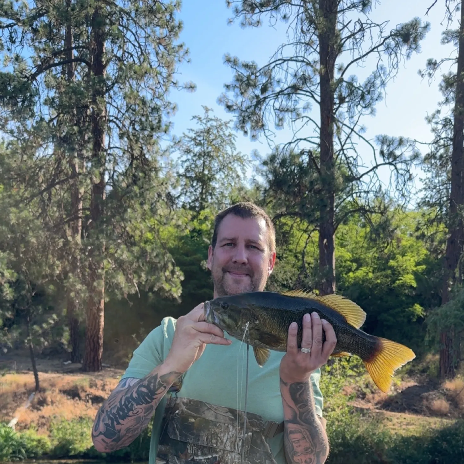The most recent Smallmouth bass catches on Fishbrain
