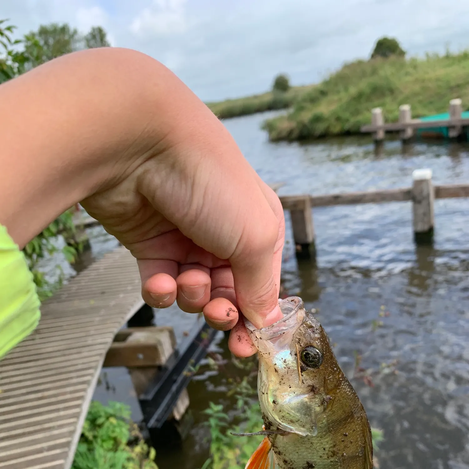 Fish caught on Fishbrain