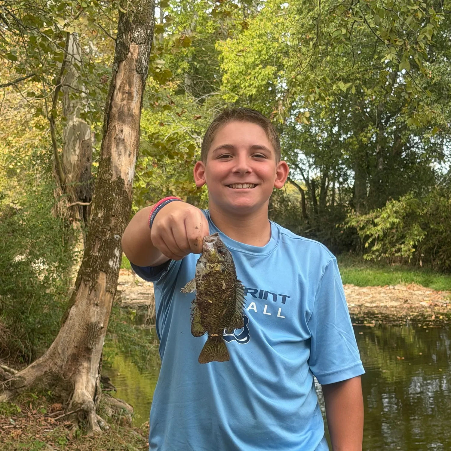 Rock bass caught on Fishbrain