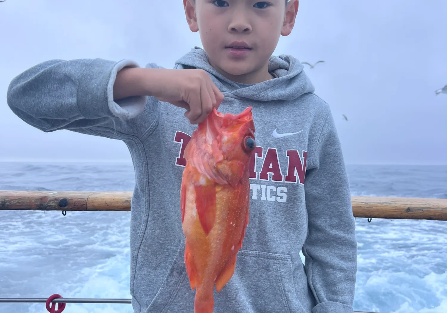 Green blotched rockfish