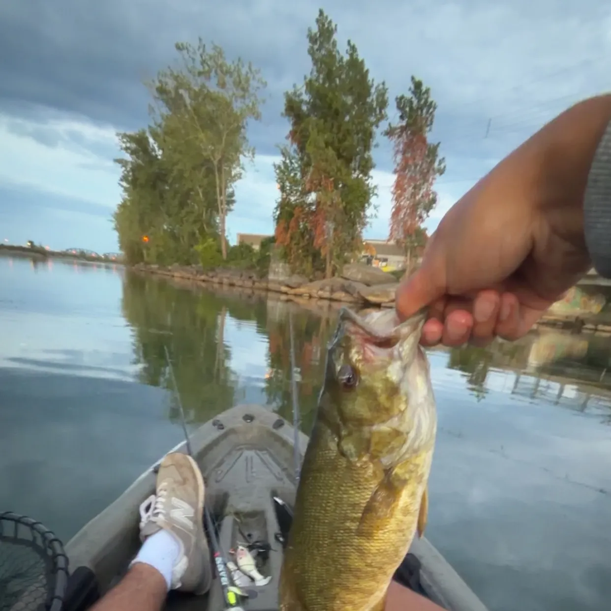 Smallmouth bass caught on Fishbrain