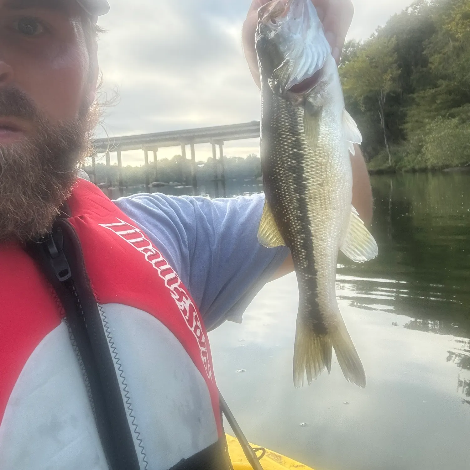Spotted bass caught on Fishbrain