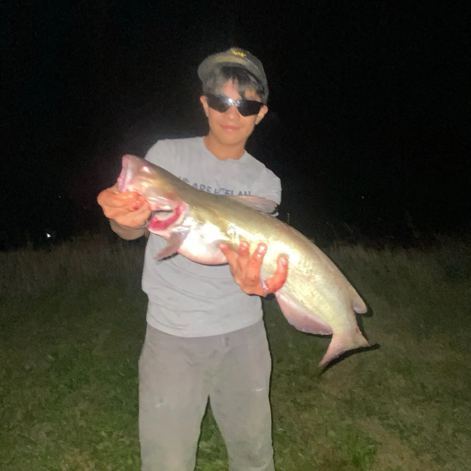 Channel catfish caught on Fishbrain