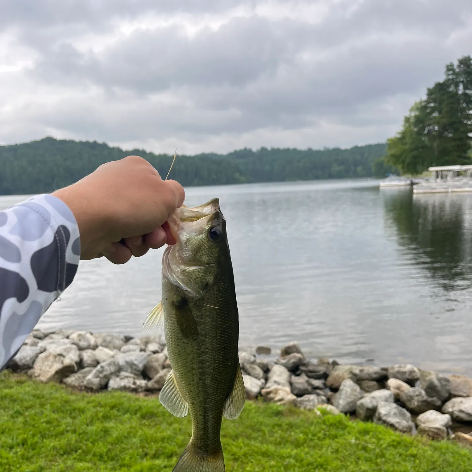 catch