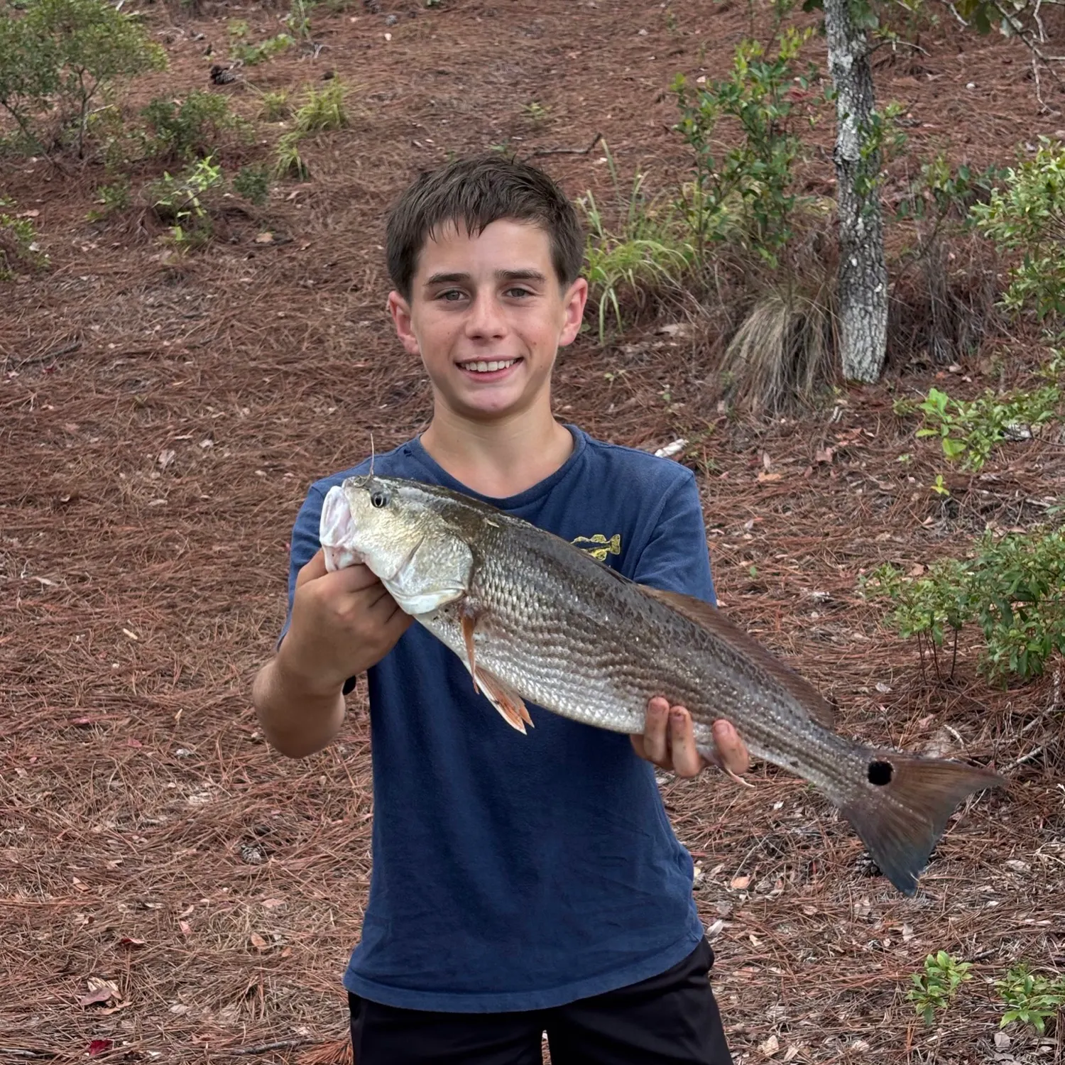 Red drum caught on Fishbrain