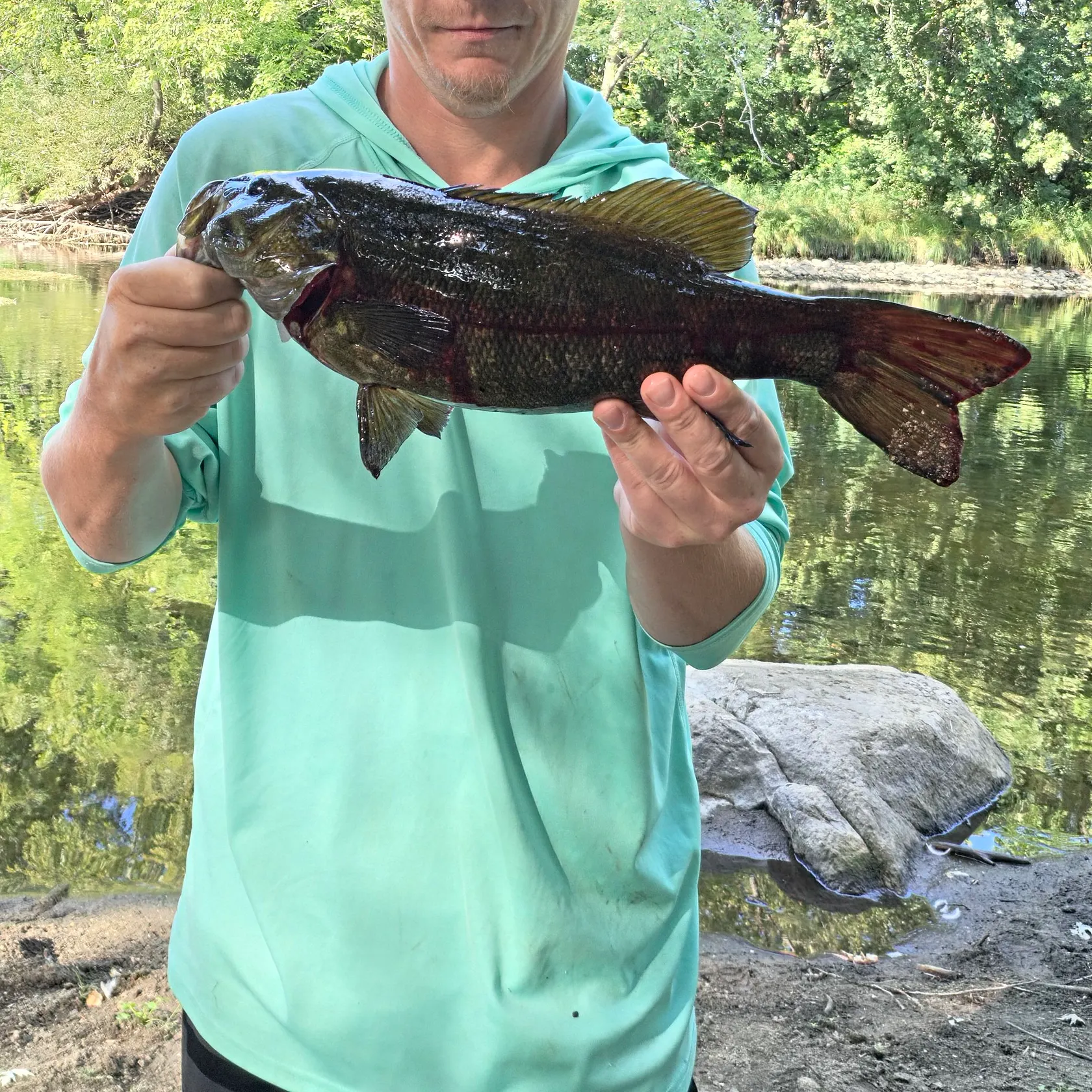 Smallmouth bass caught on Fishbrain