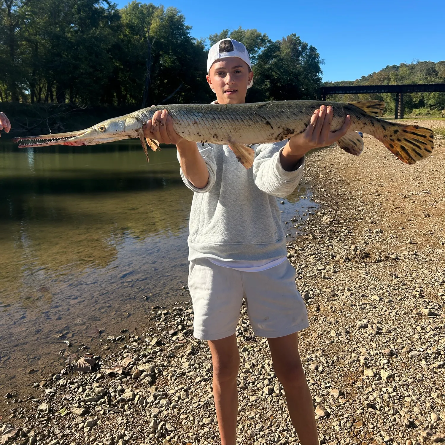 Spotted gar caught on Fishbrain