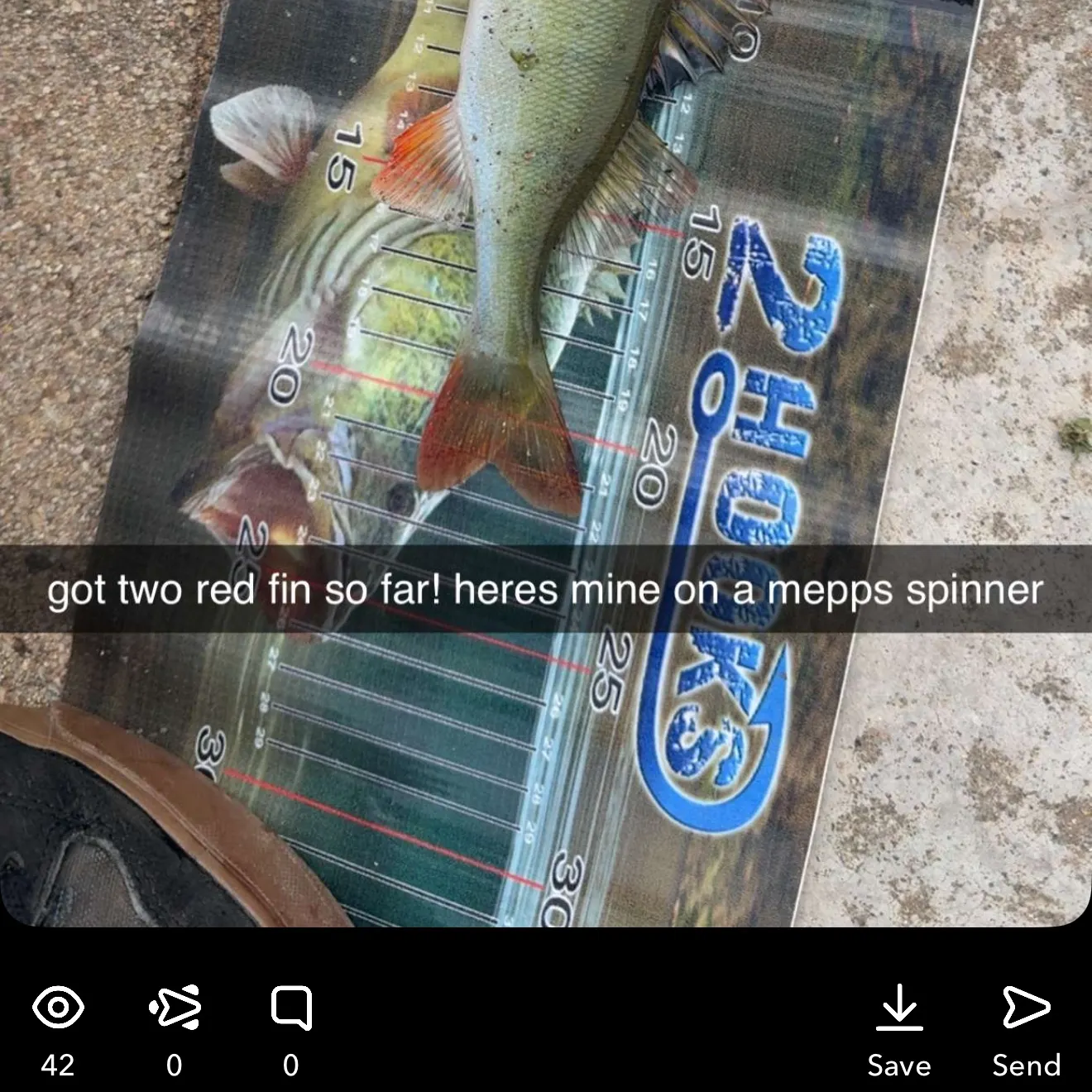 recently logged catches