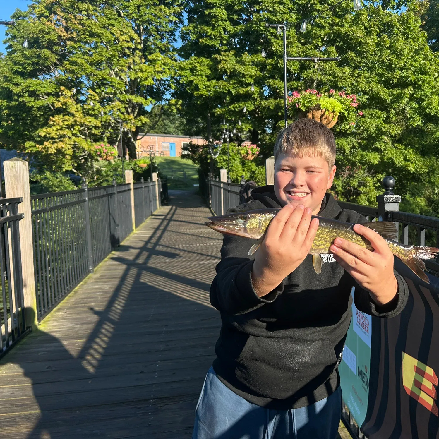 Chain pickerel caught on Fishbrain