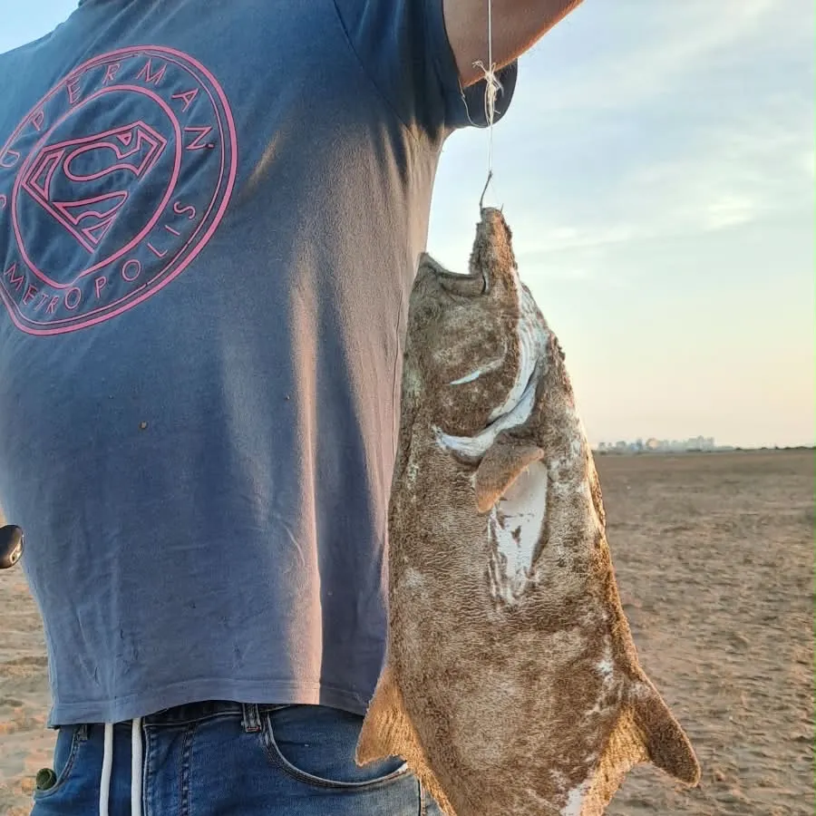 Fish caught on Fishbrain