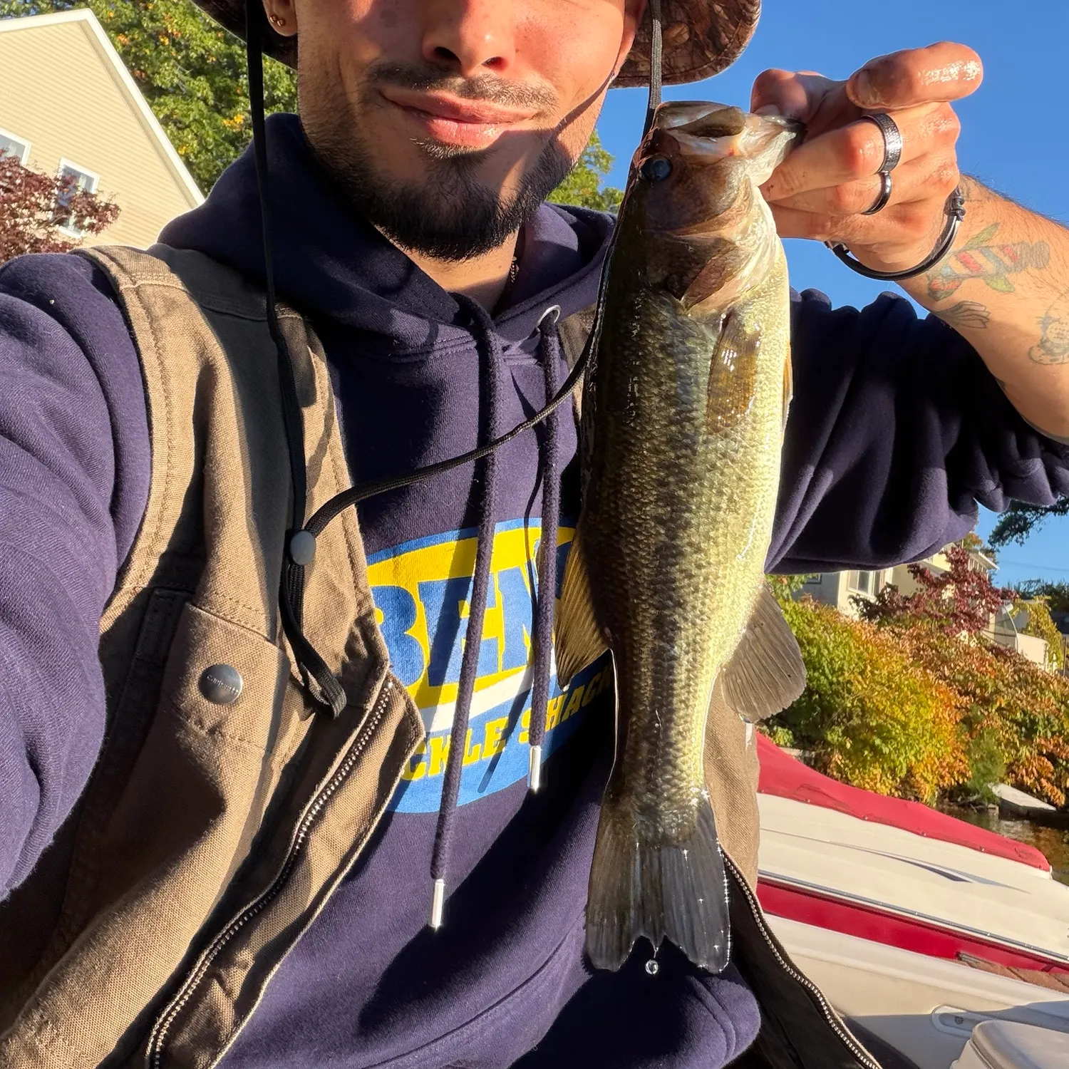 Largemouth bass caught on Fishbrain