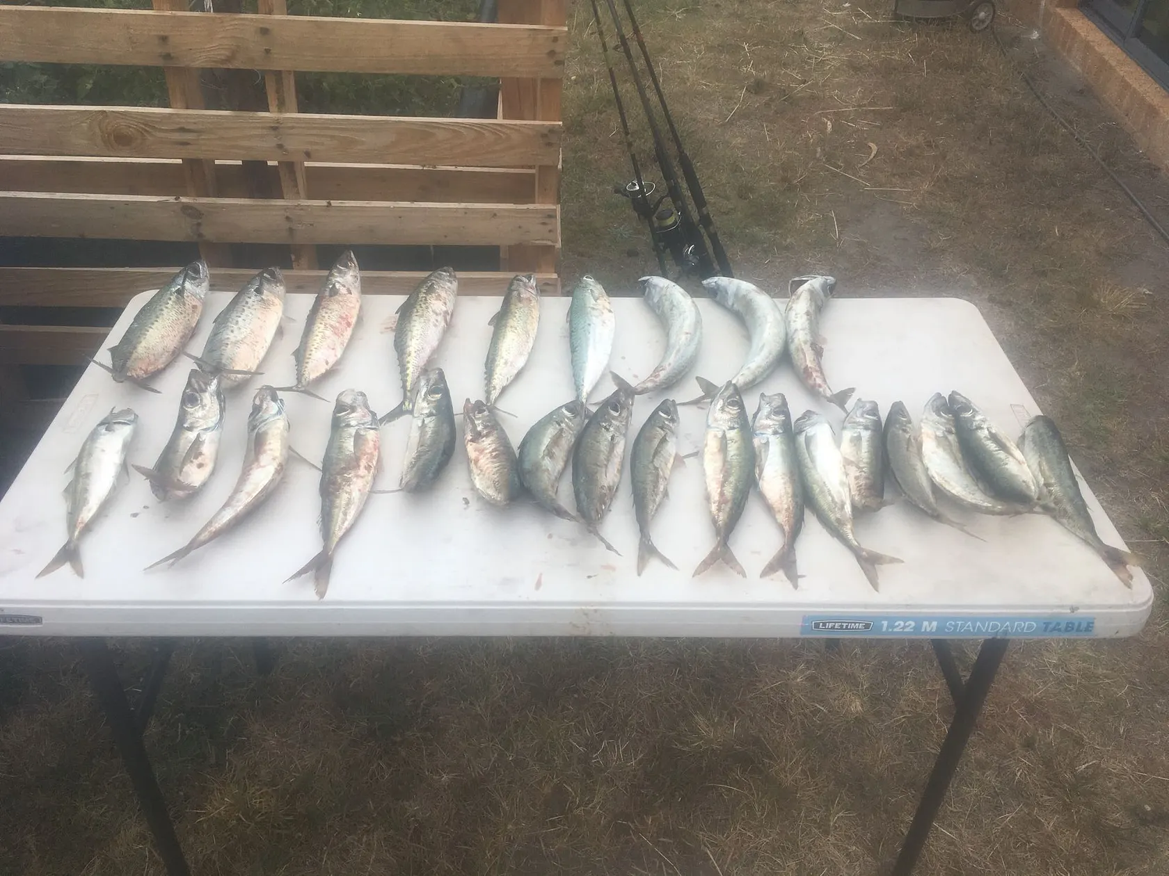 Post image from twebber7903