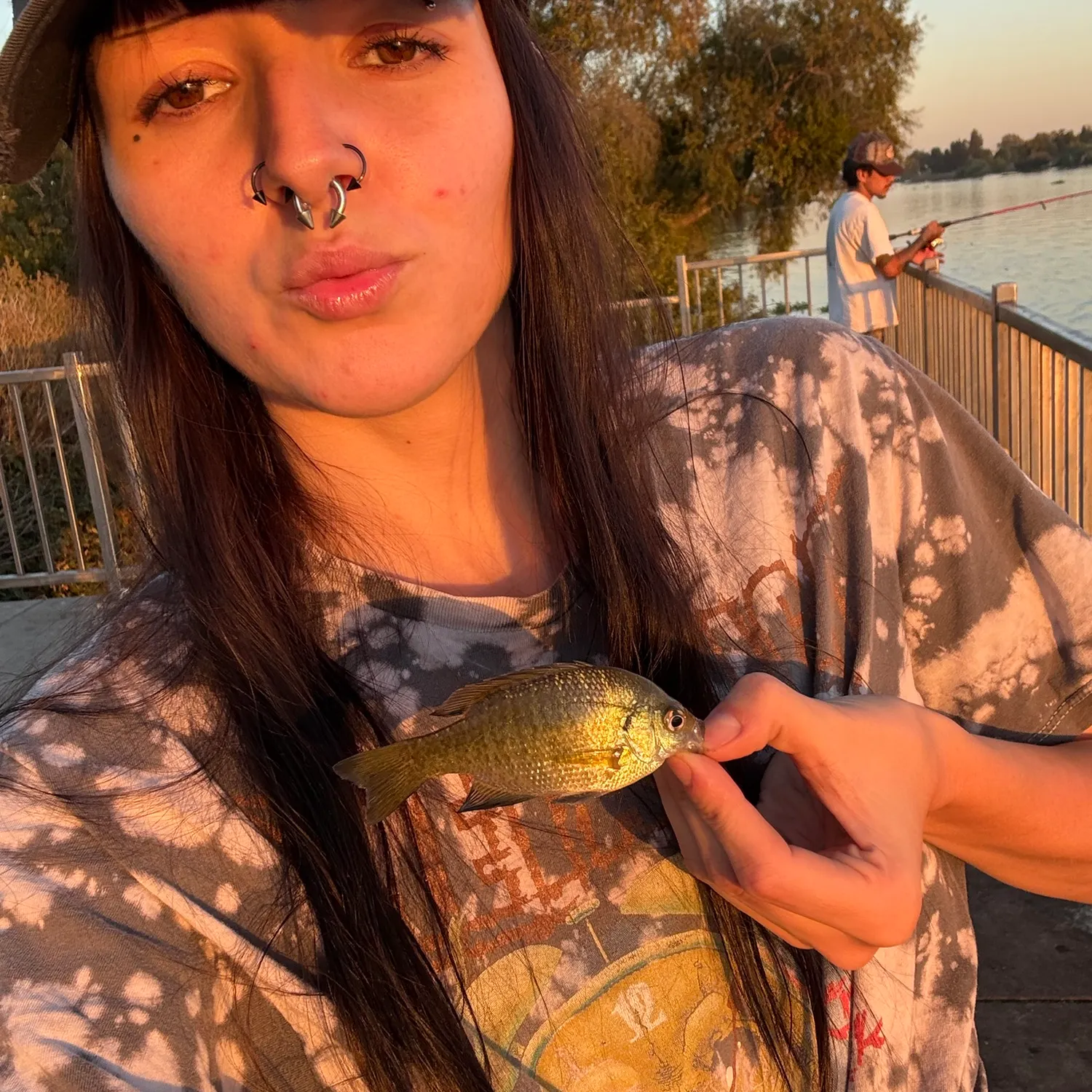Bluegill caught on Fishbrain