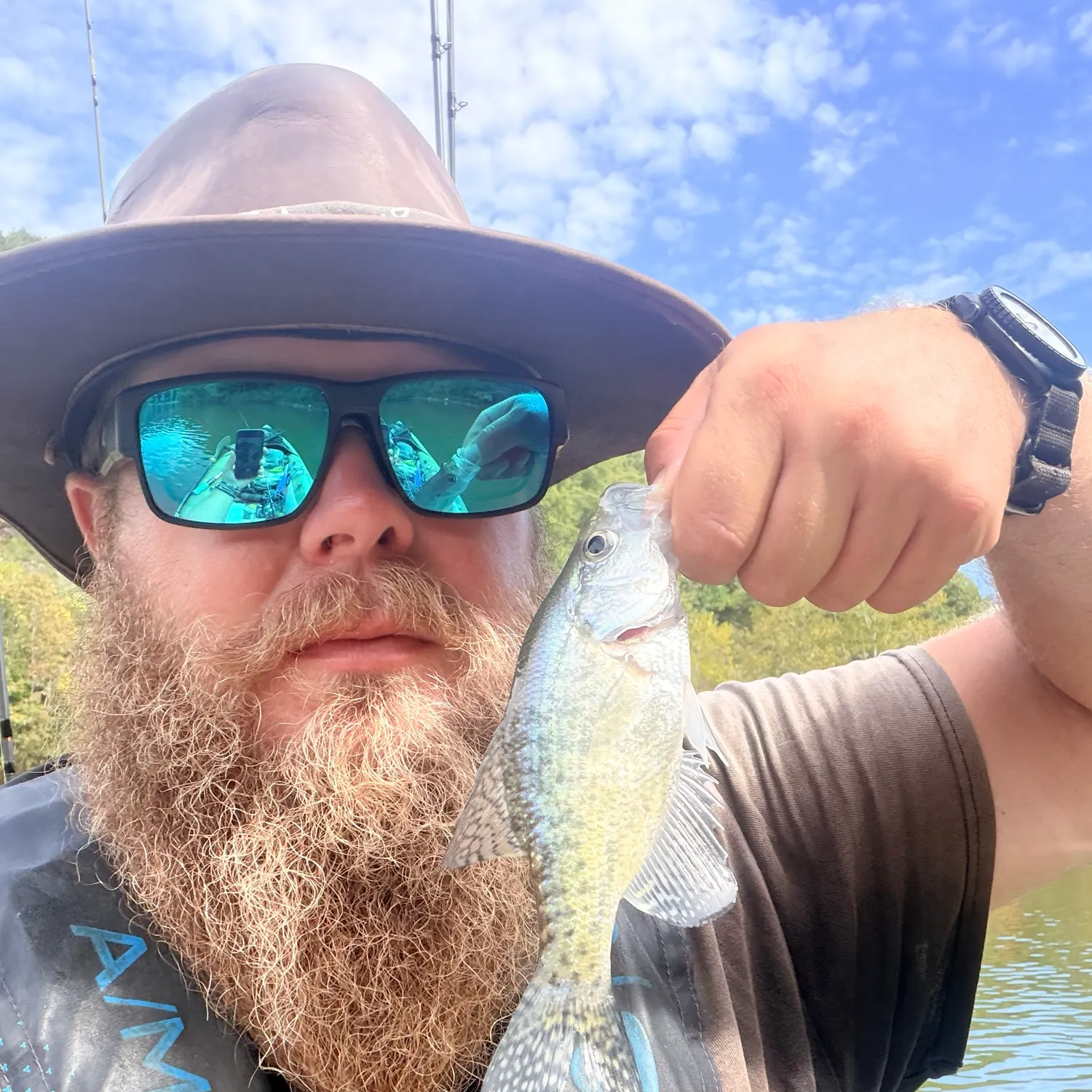 White crappie caught on Fishbrain