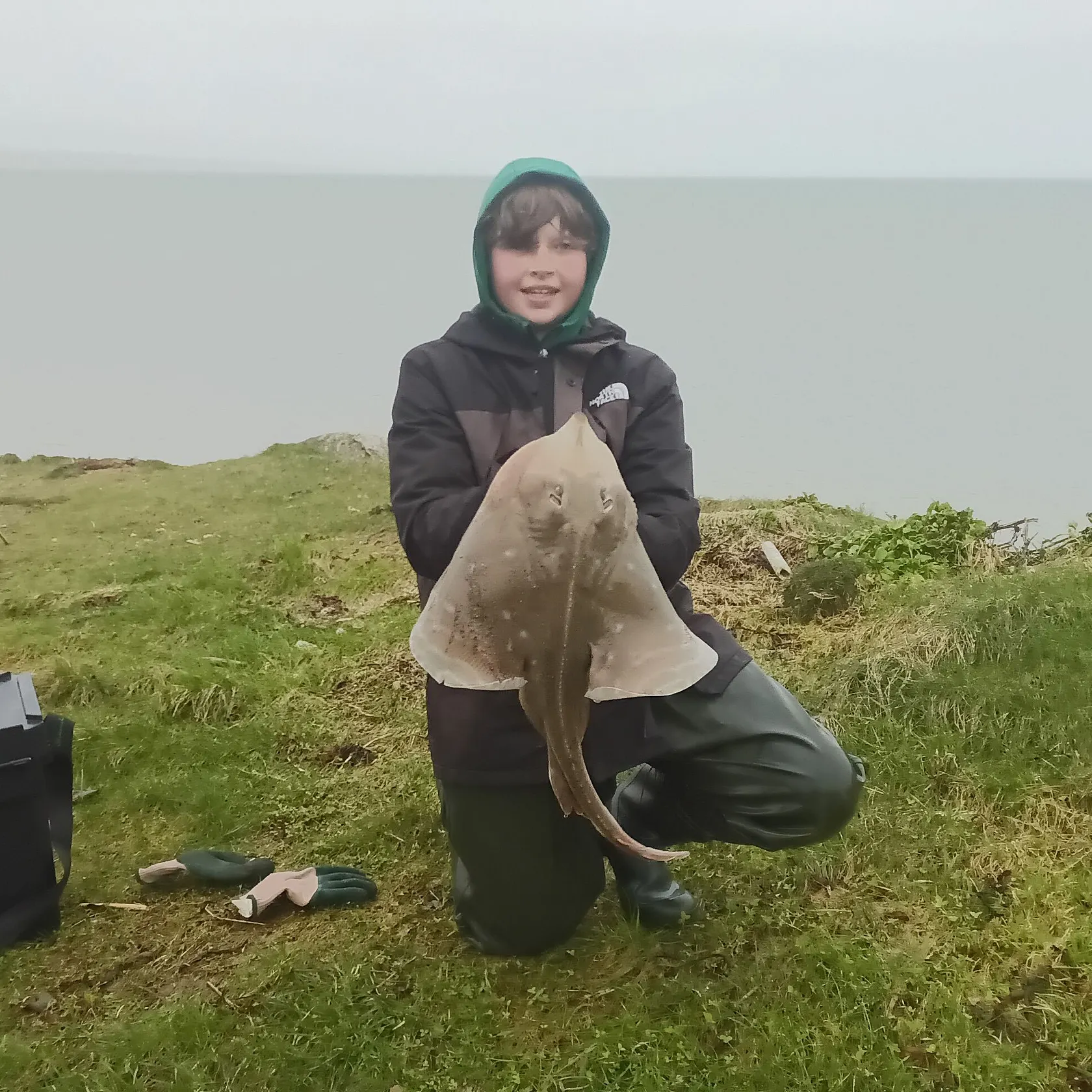 The most recent Small-eyed ray catches on Fishbrain