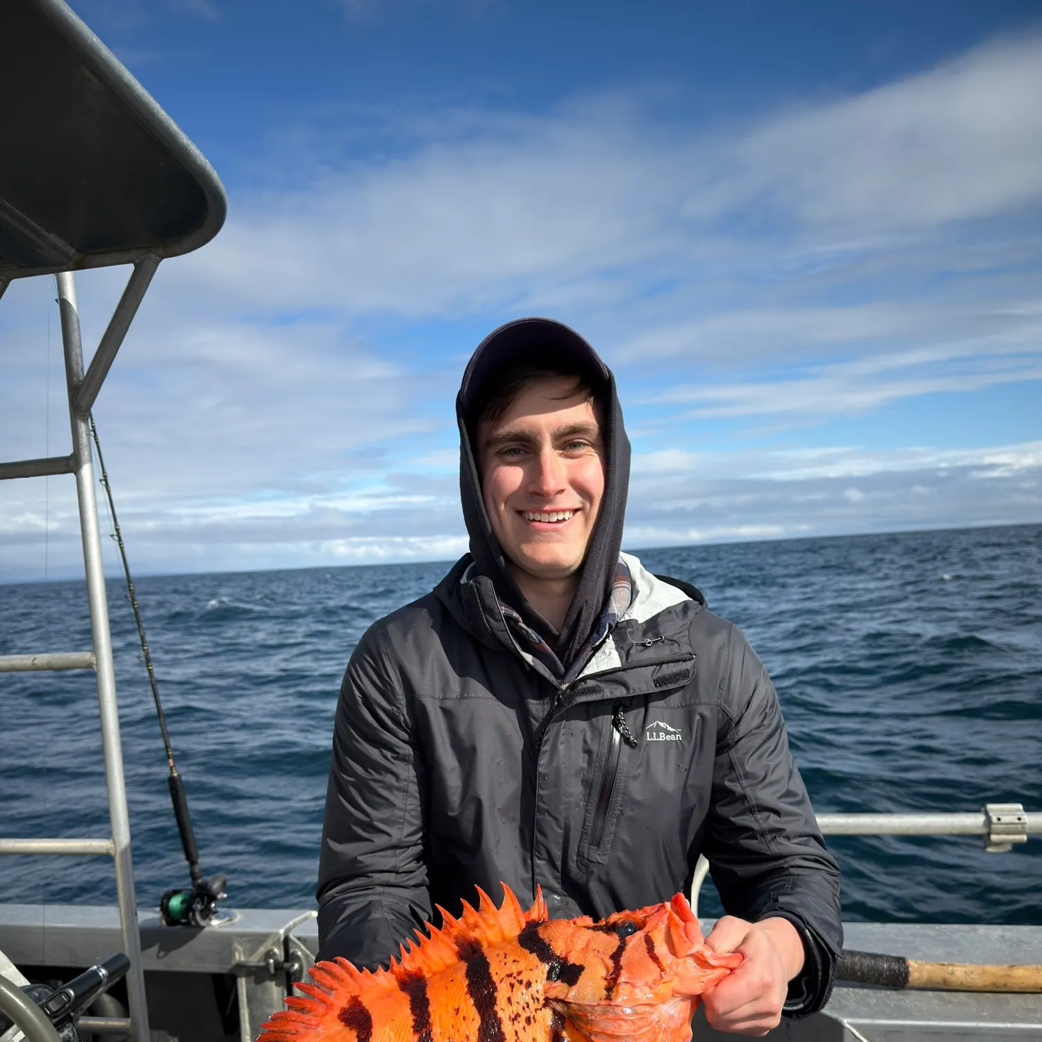 The most recent Tiger rockfish catches on Fishbrain