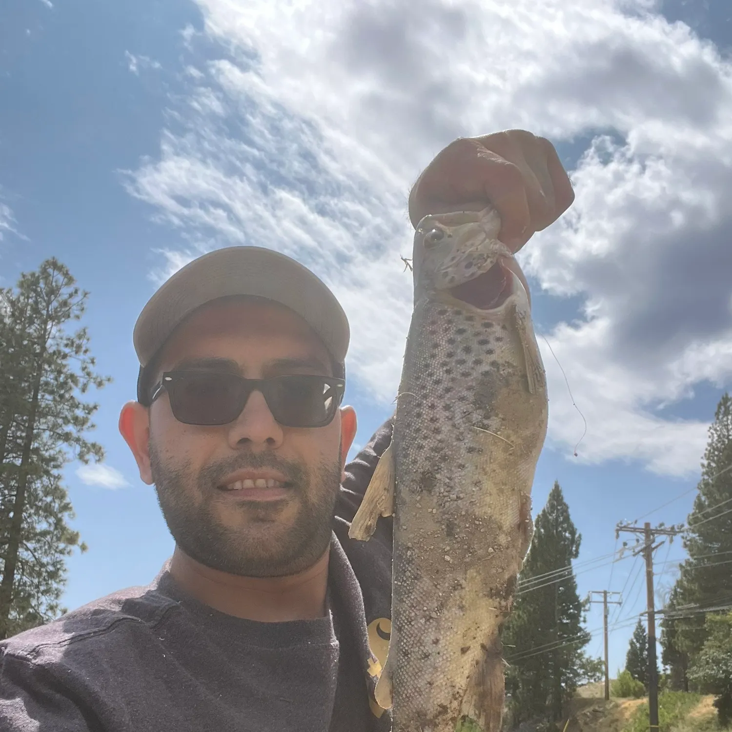 most liked catch image