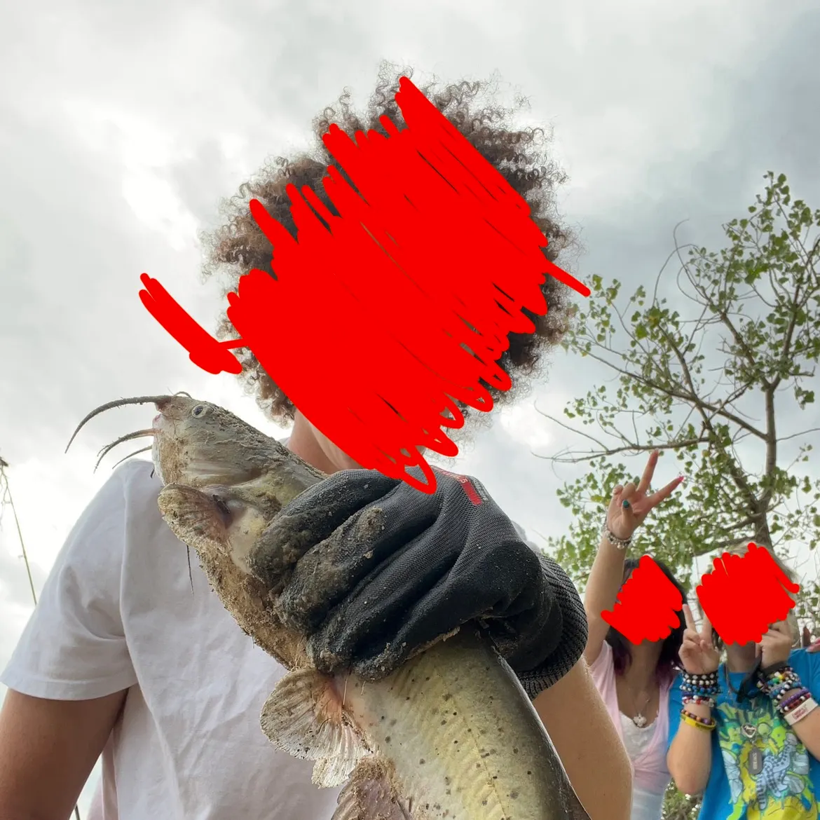 Channel catfish caught on Fishbrain