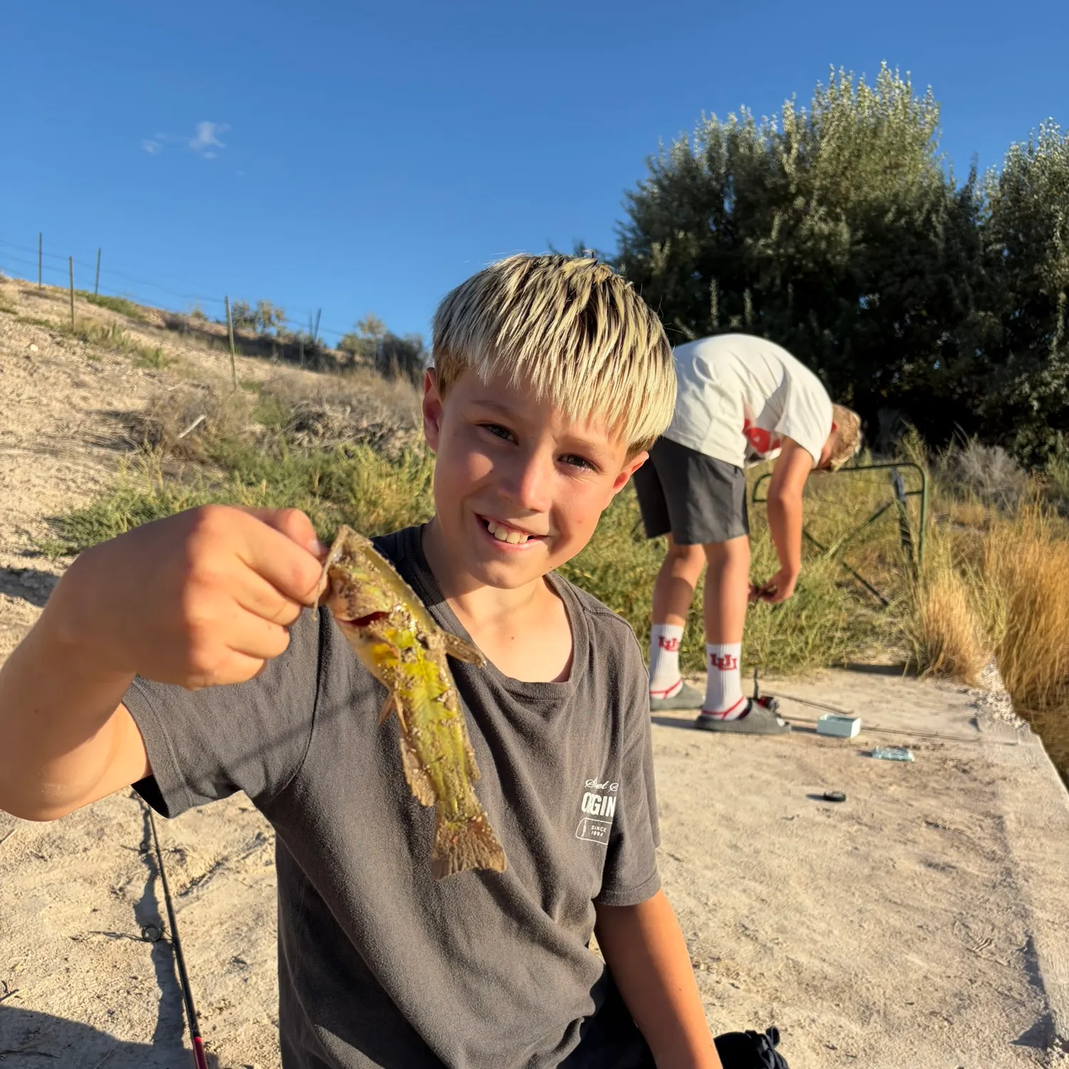 Fish caught on Fishbrain