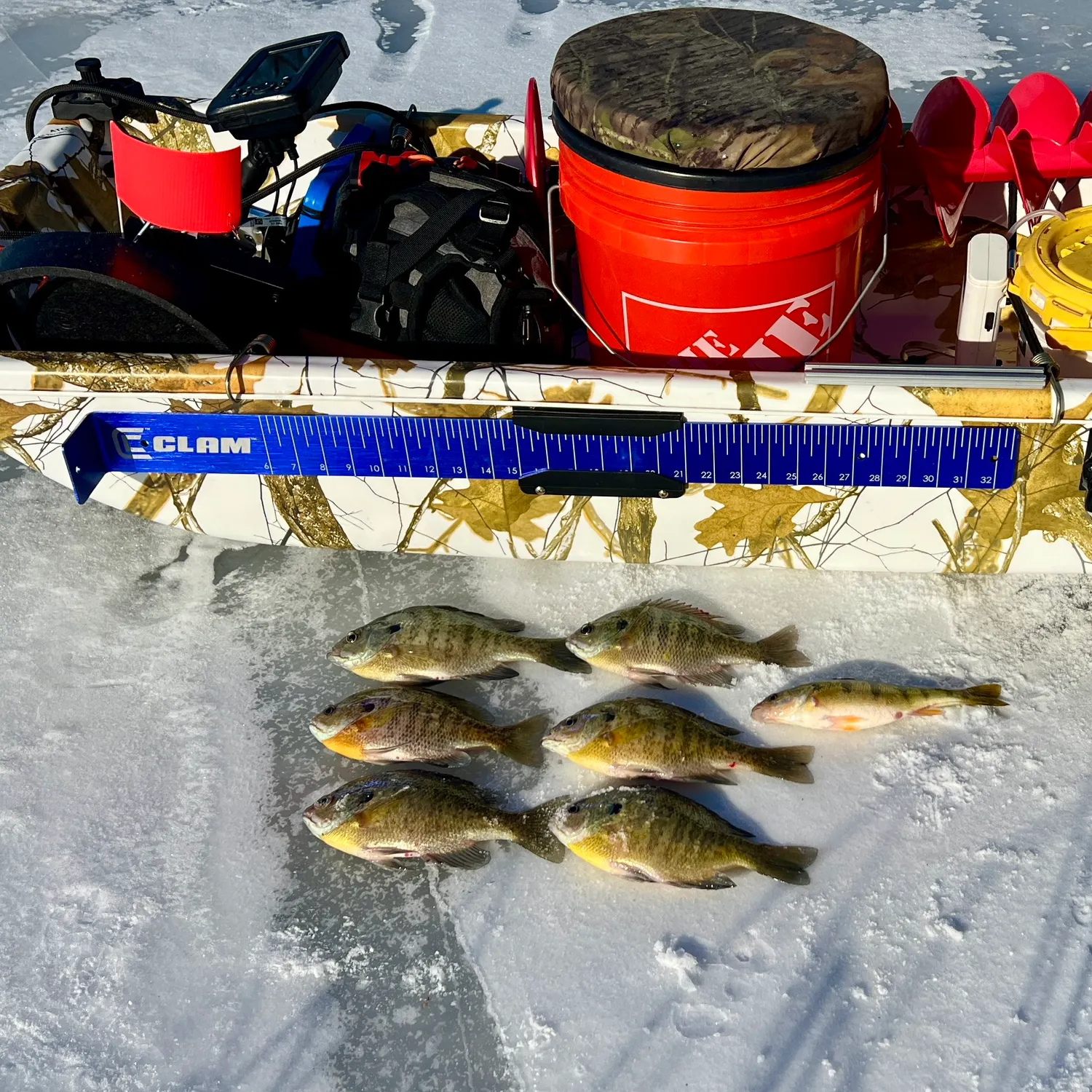 recently logged catches