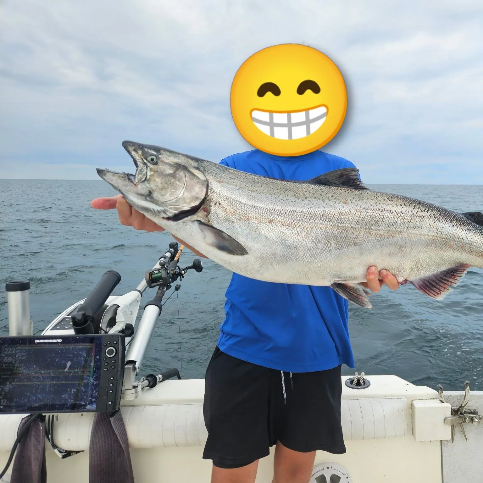 Chinook salmon caught on Fishbrain