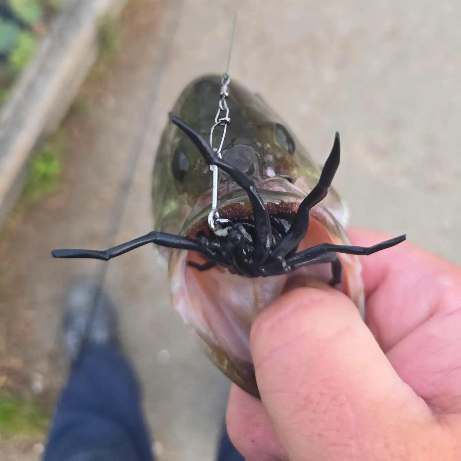 catch