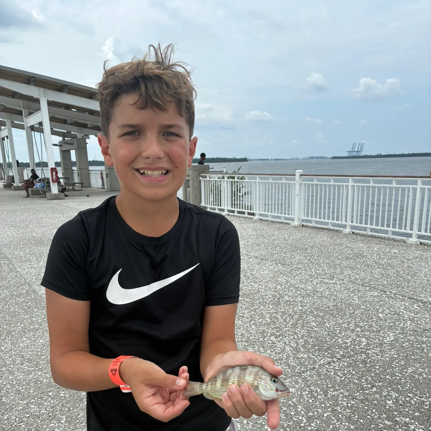 Pigfish caught on Fishbrain