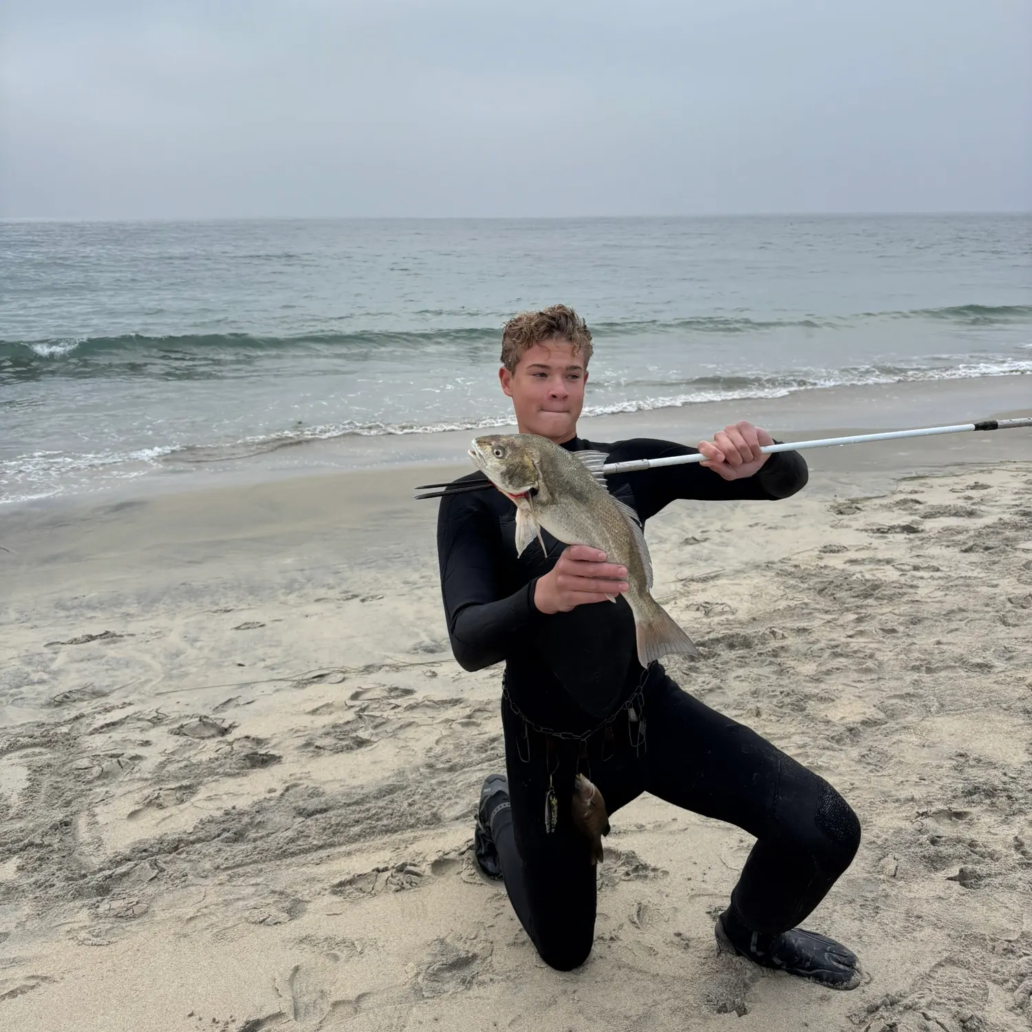 The most recent Spotfin croaker catches on Fishbrain