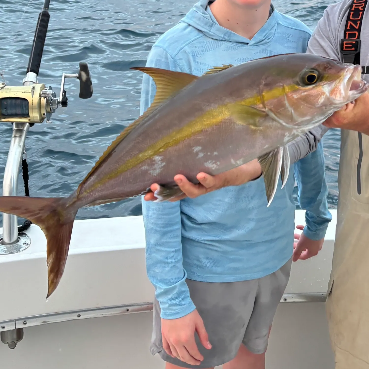 The most recent Greater amberjack catches on Fishbrain