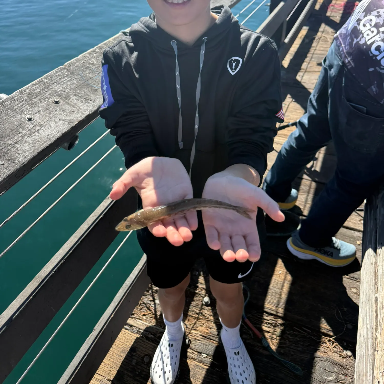 The most recent Brushtooth lizardfish catches on Fishbrain