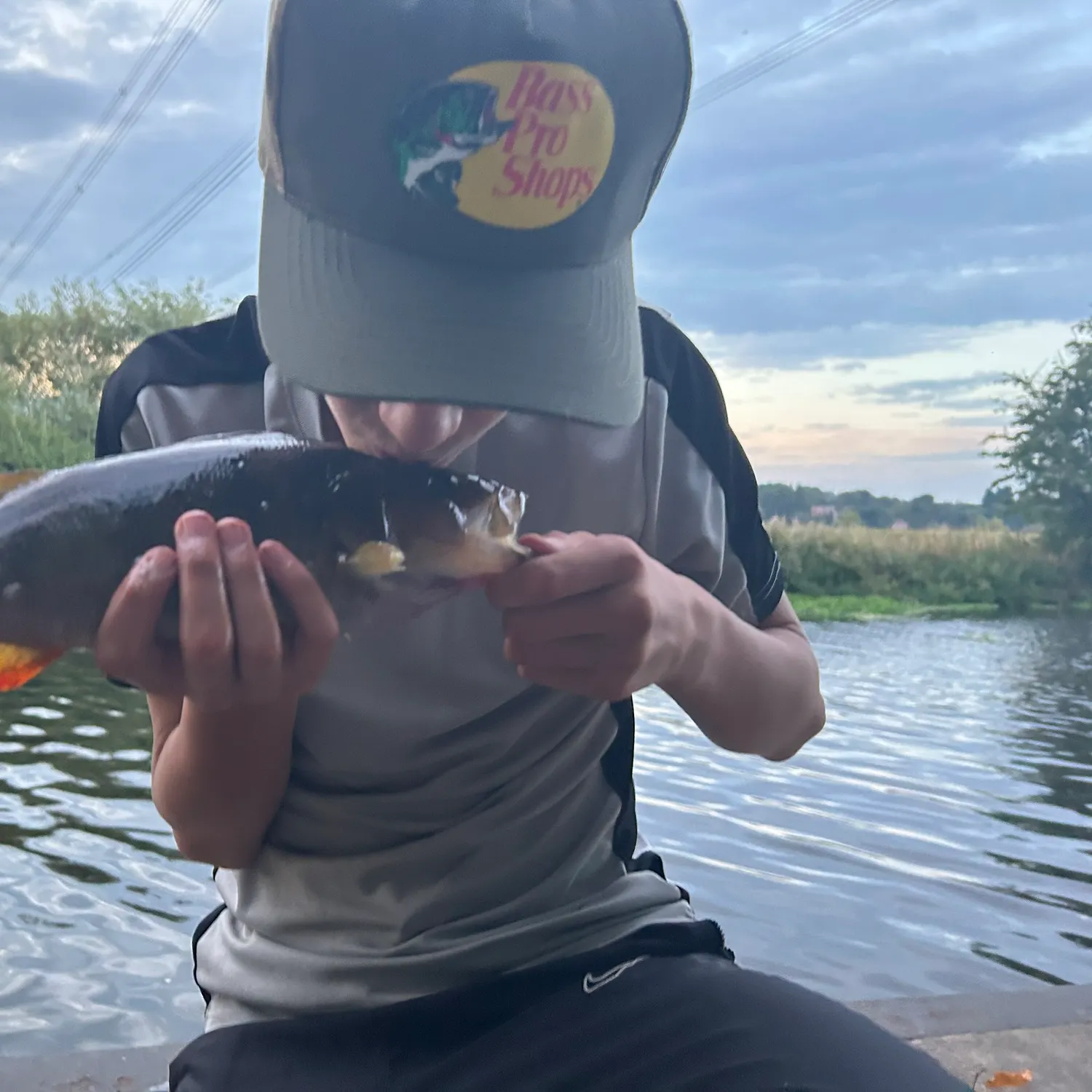 European perch caught on Fishbrain