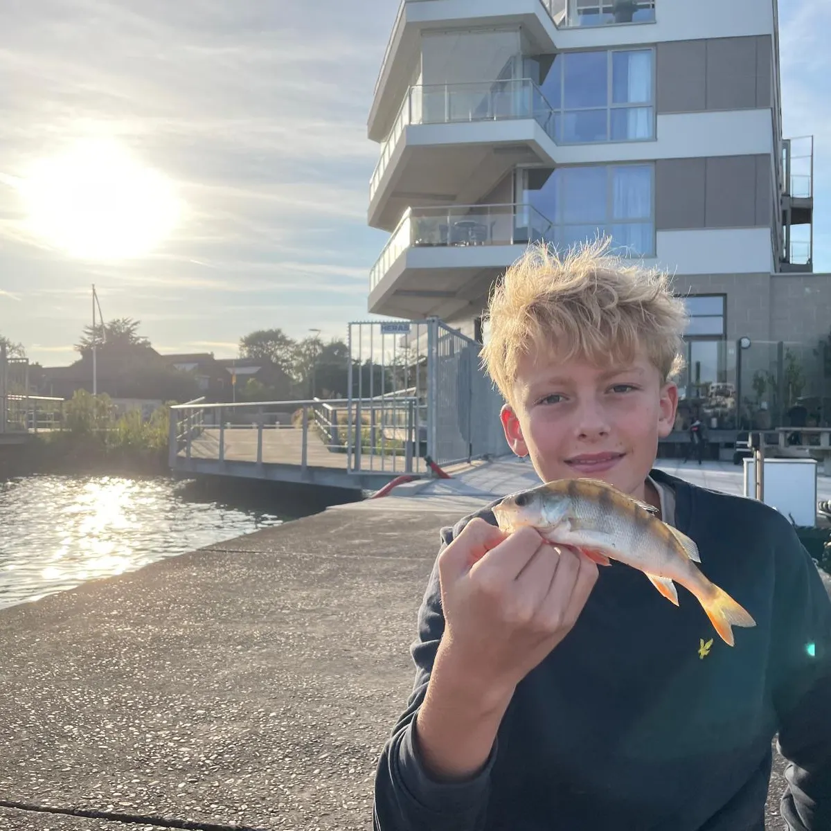 European perch caught on Fishbrain