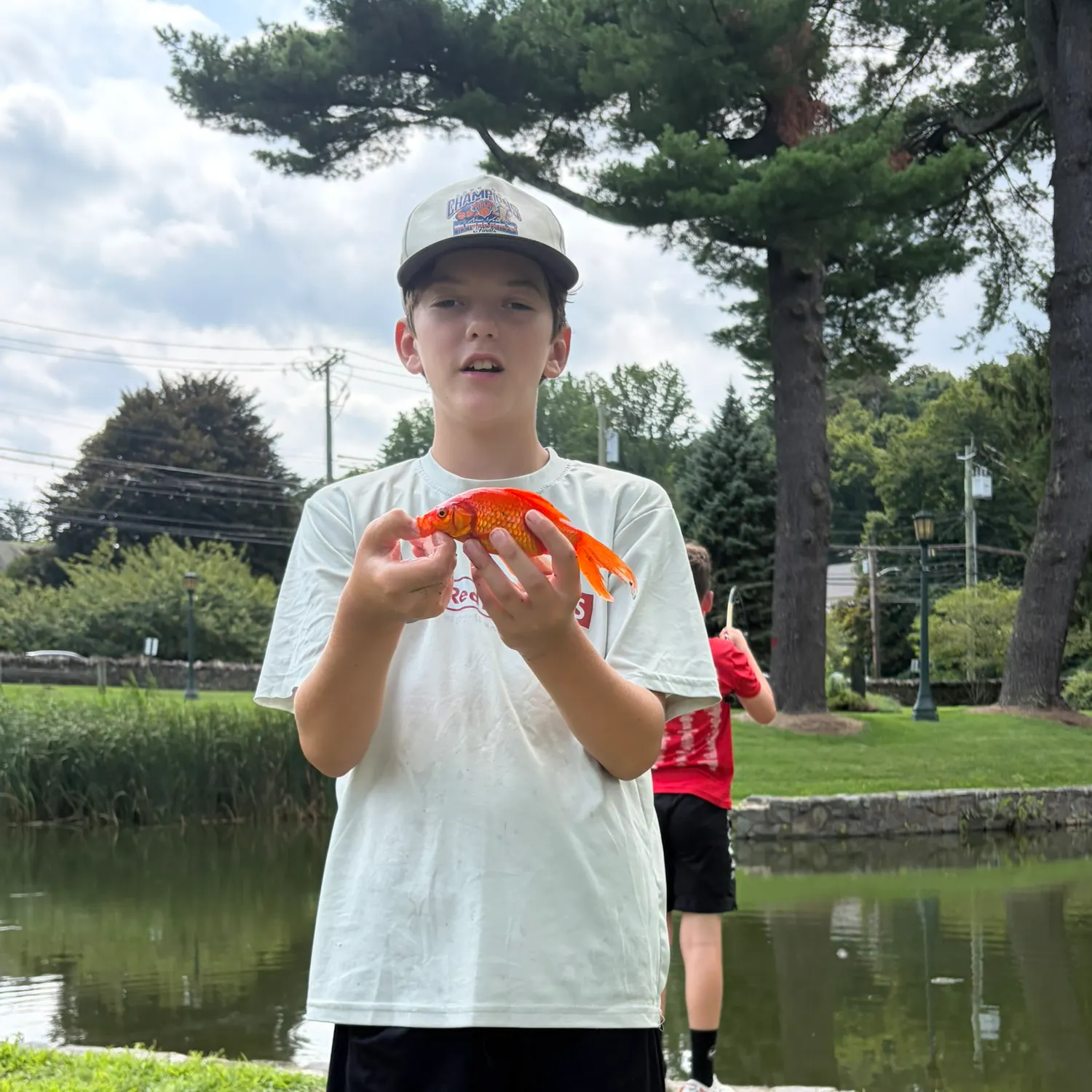 The most recent Goldfish catches on Fishbrain