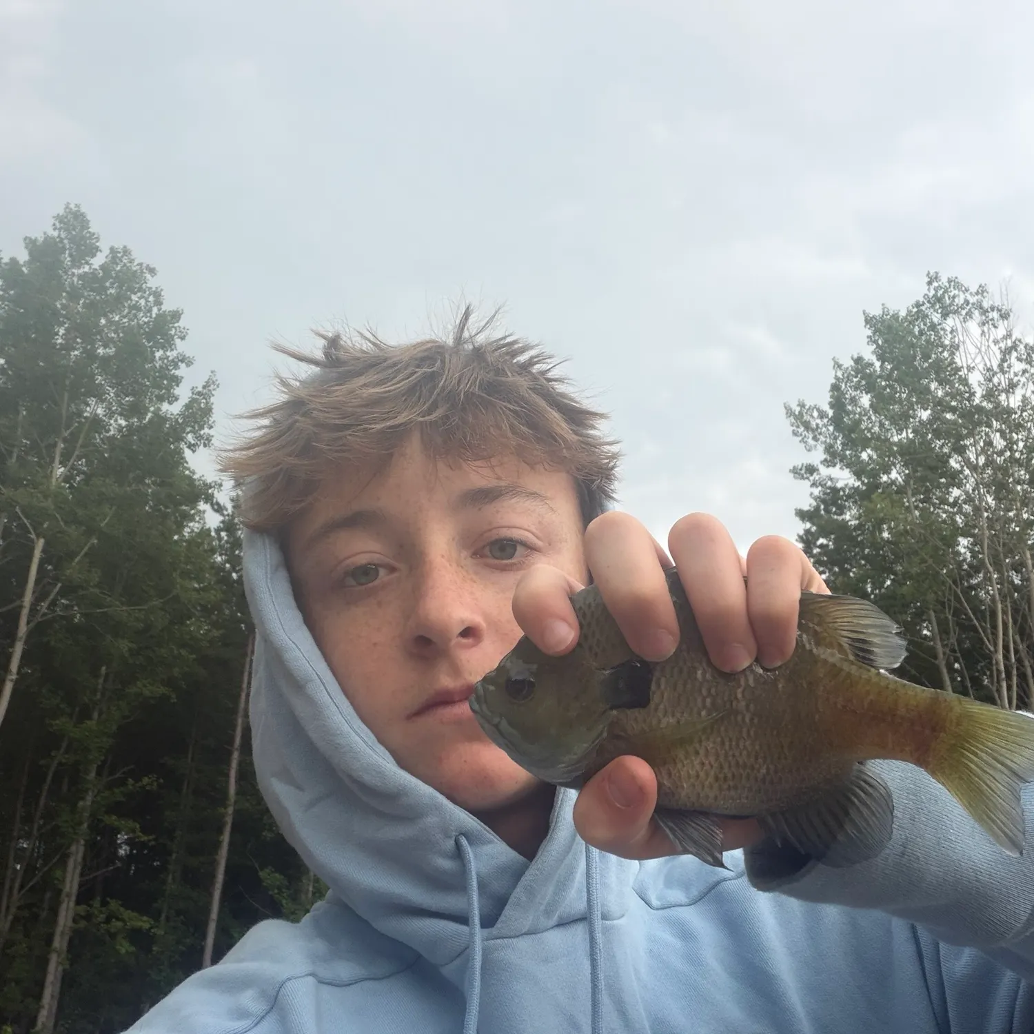 The most recent Bluegill catches on Fishbrain