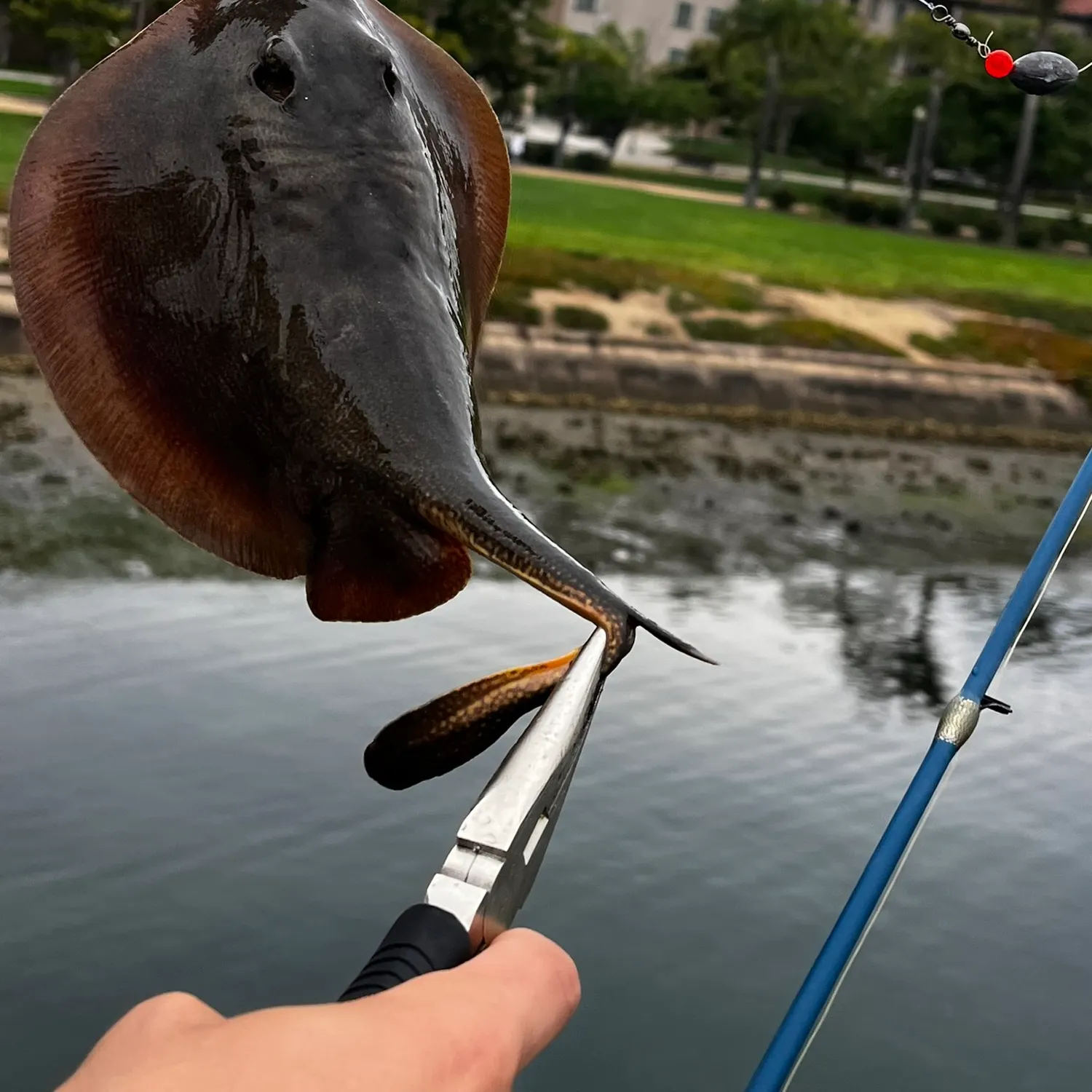 catch