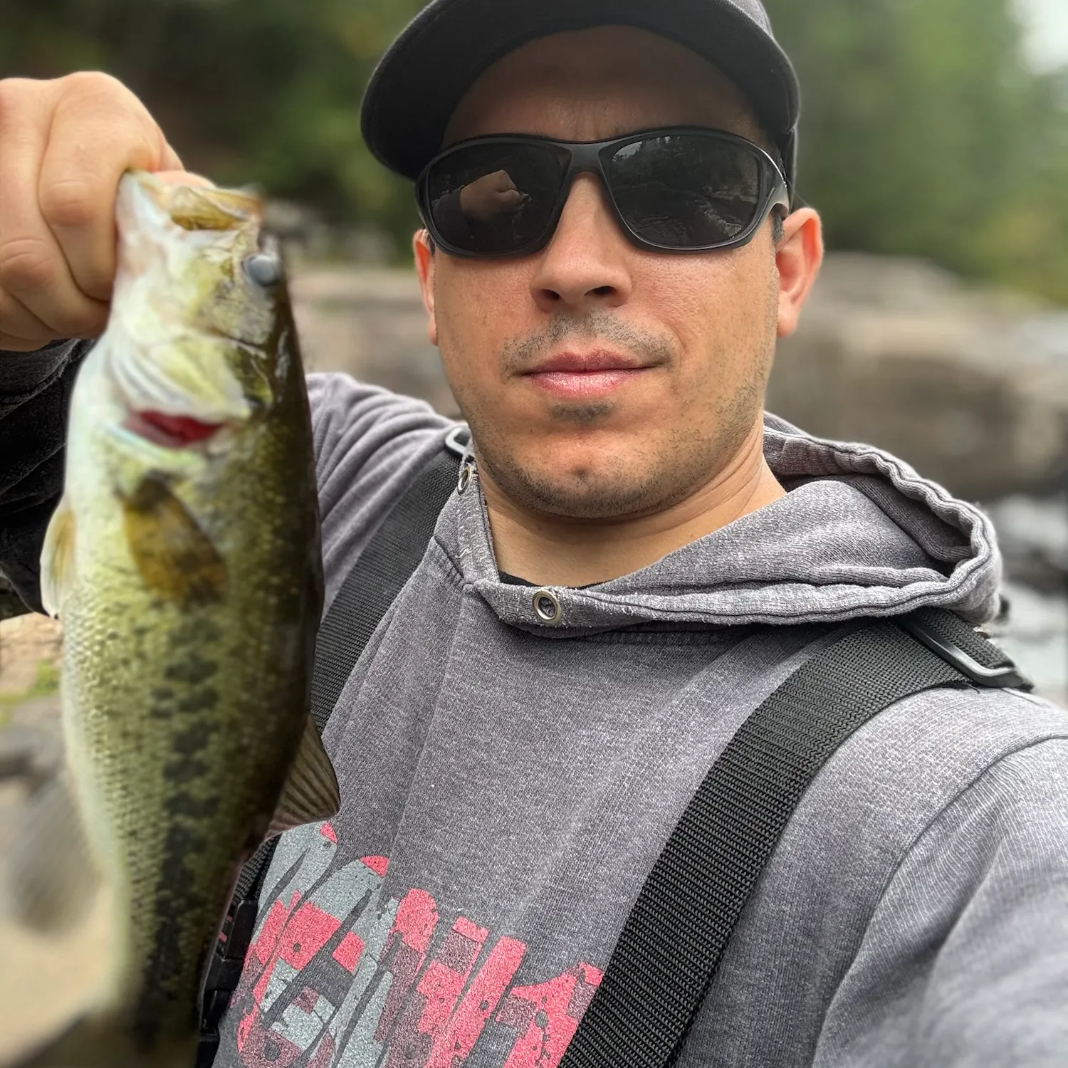 Largemouth bass caught on Fishbrain