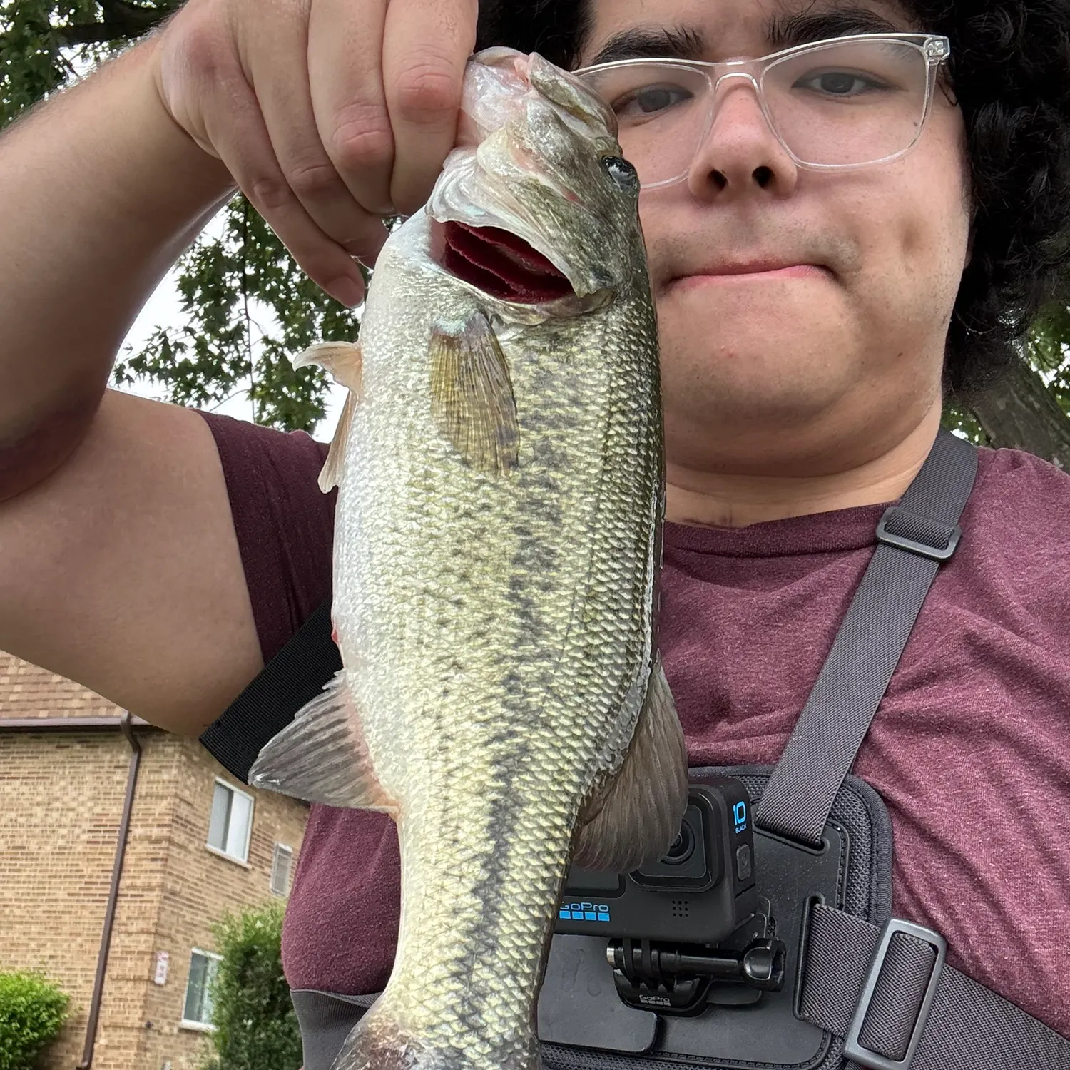 angler catch