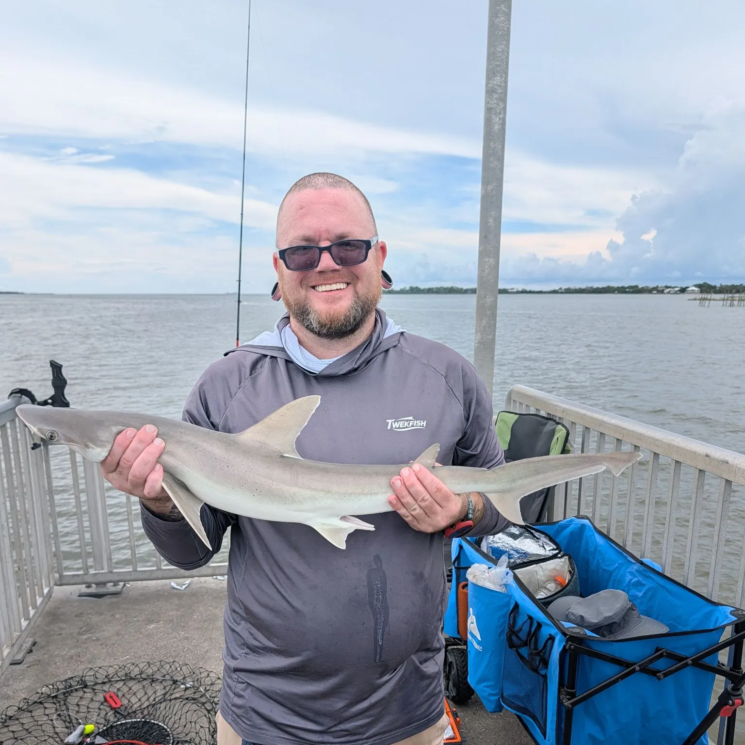 Bonnethead shark caught on Fishbrain