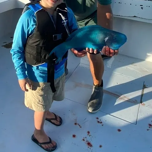 The most recent Common parrotfish catches on Fishbrain