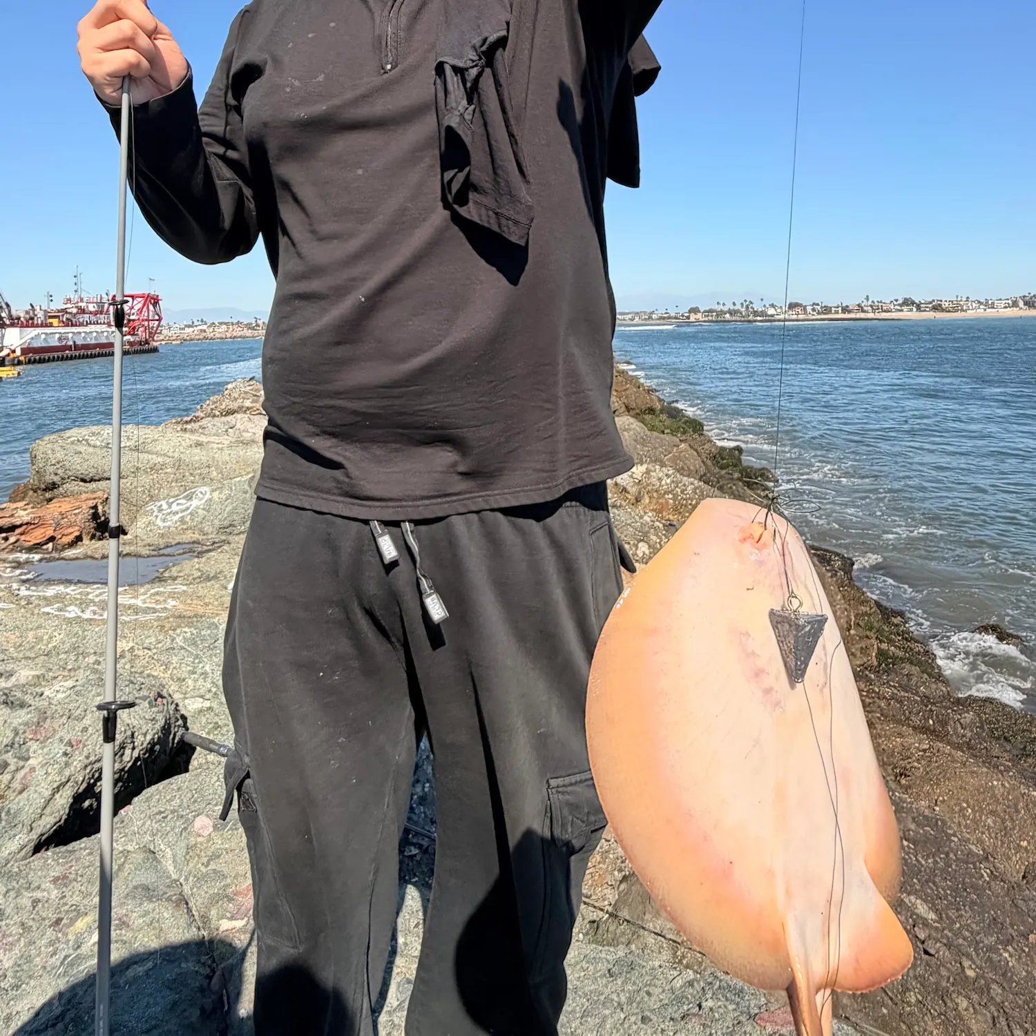 The most recent Atlantic stingray catches on Fishbrain