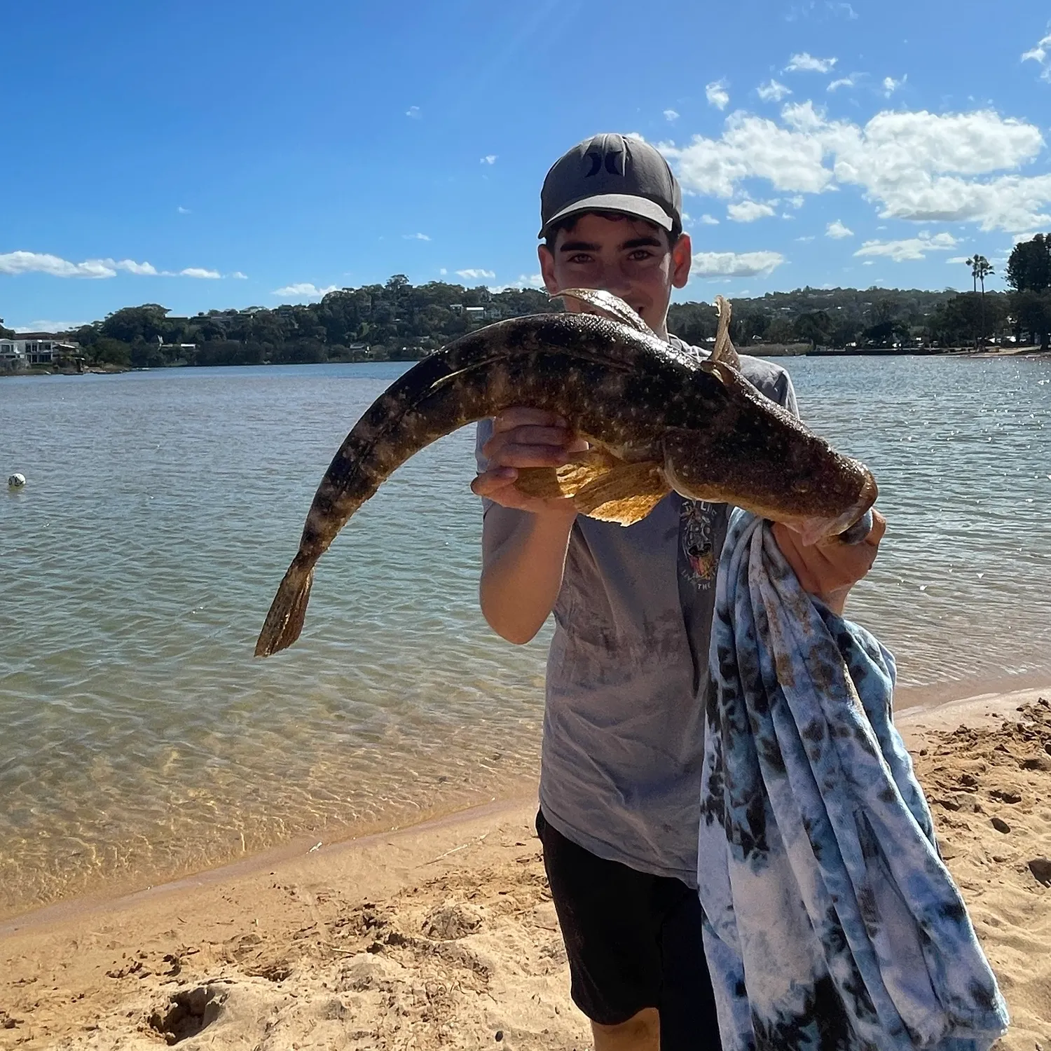 Dusky flathead caught on Fishbrain