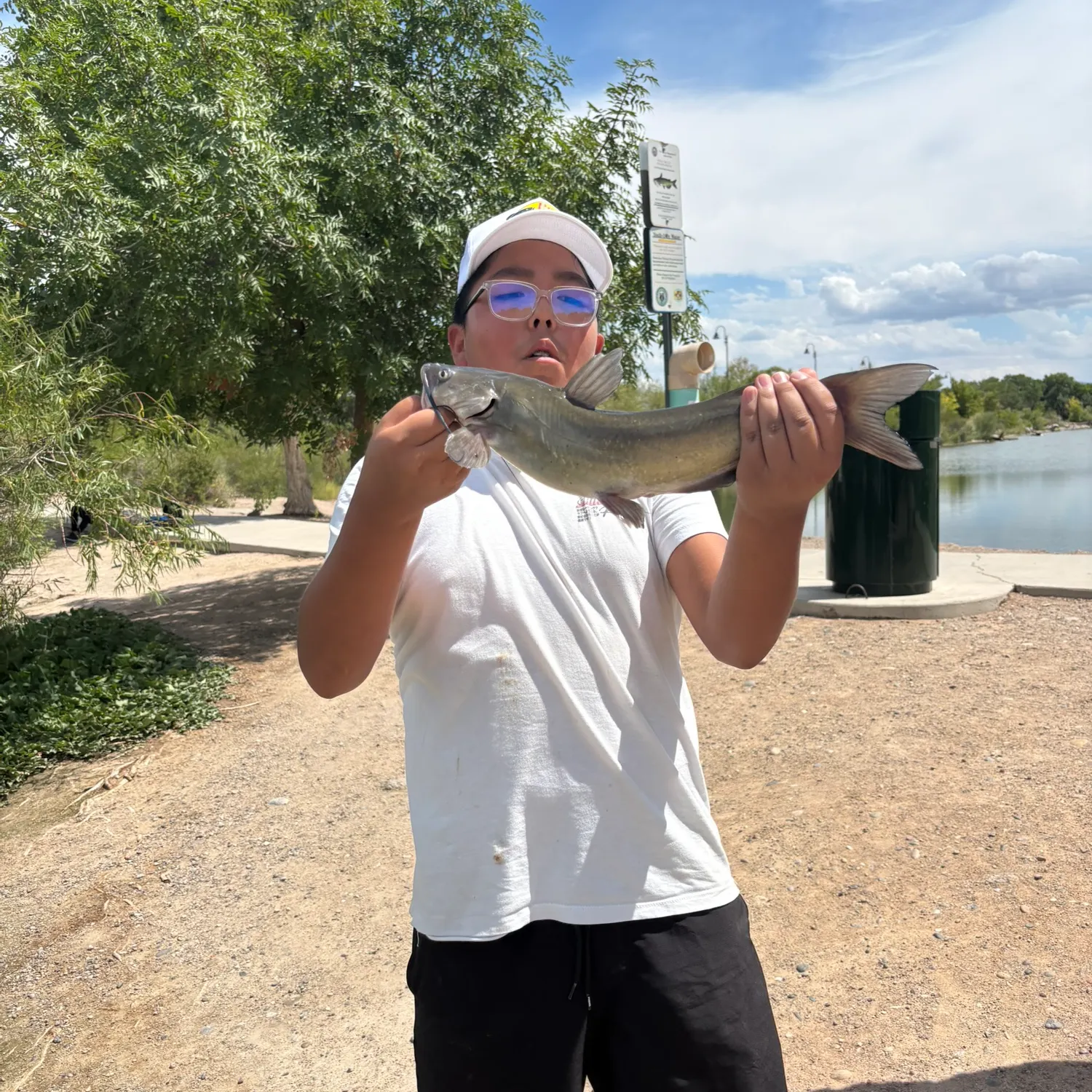 Channel catfish caught on Fishbrain