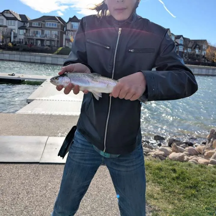 Rainbow trout caught on Fishbrain