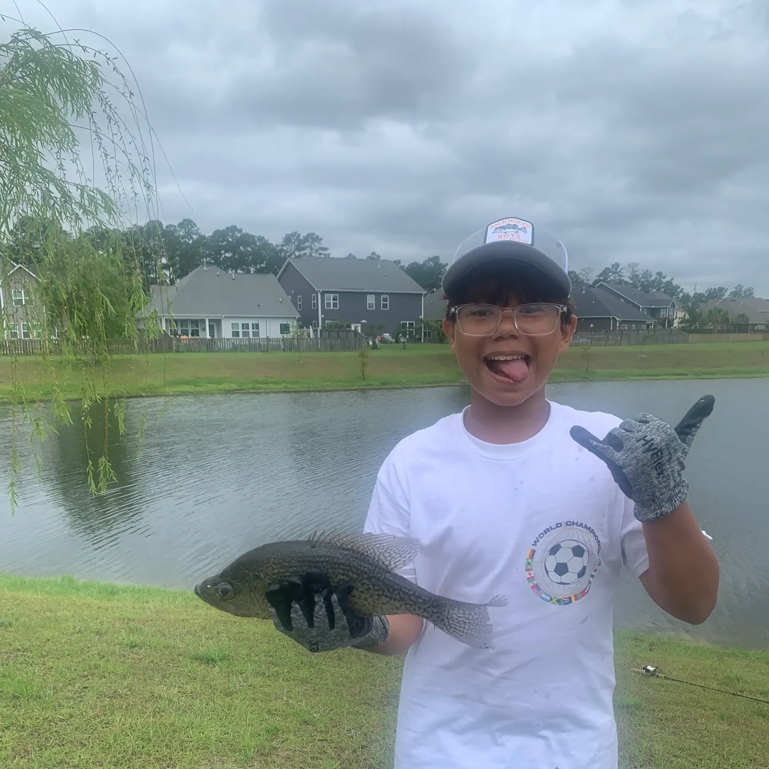 Black crappie caught on Fishbrain
