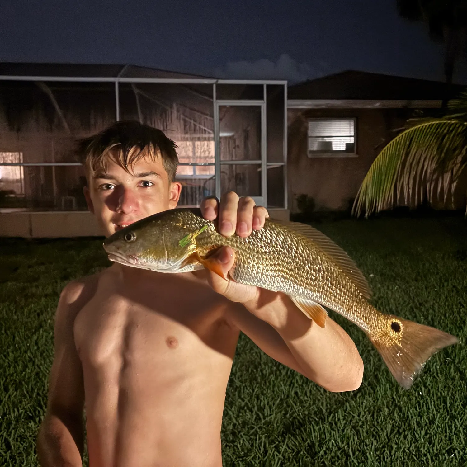 Red drum caught on Fishbrain