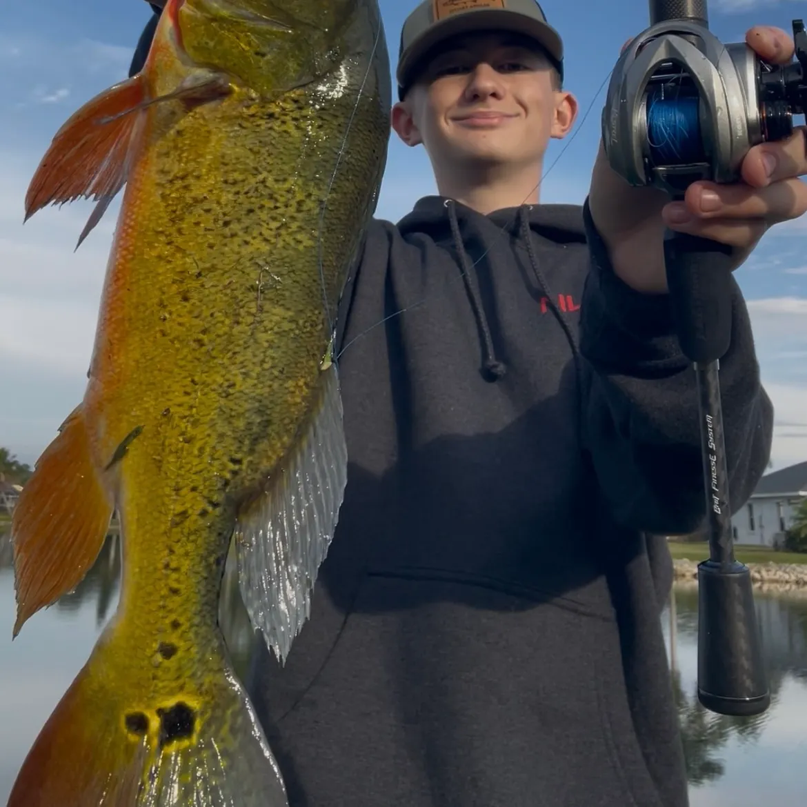 The most recent Speckled peacock bass catches on Fishbrain
