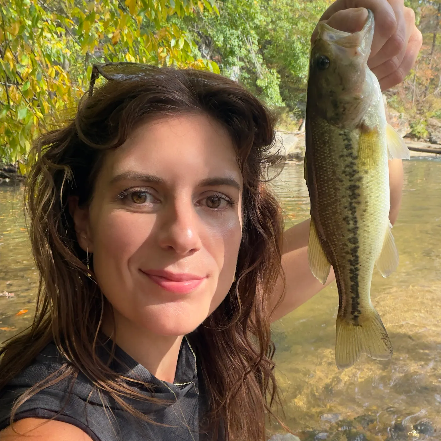 Spotted bass caught on Fishbrain