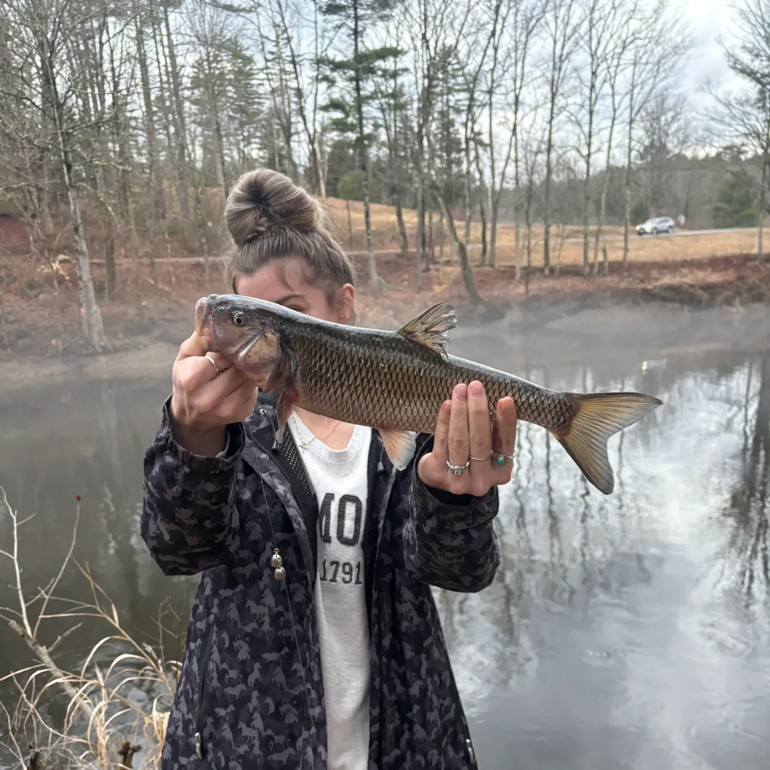 The most recent Fallfish catches on Fishbrain