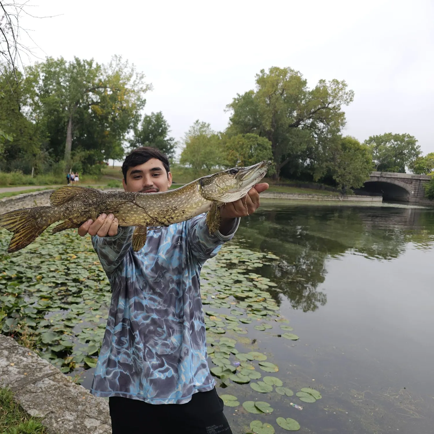Northern pike caught on Fishbrain